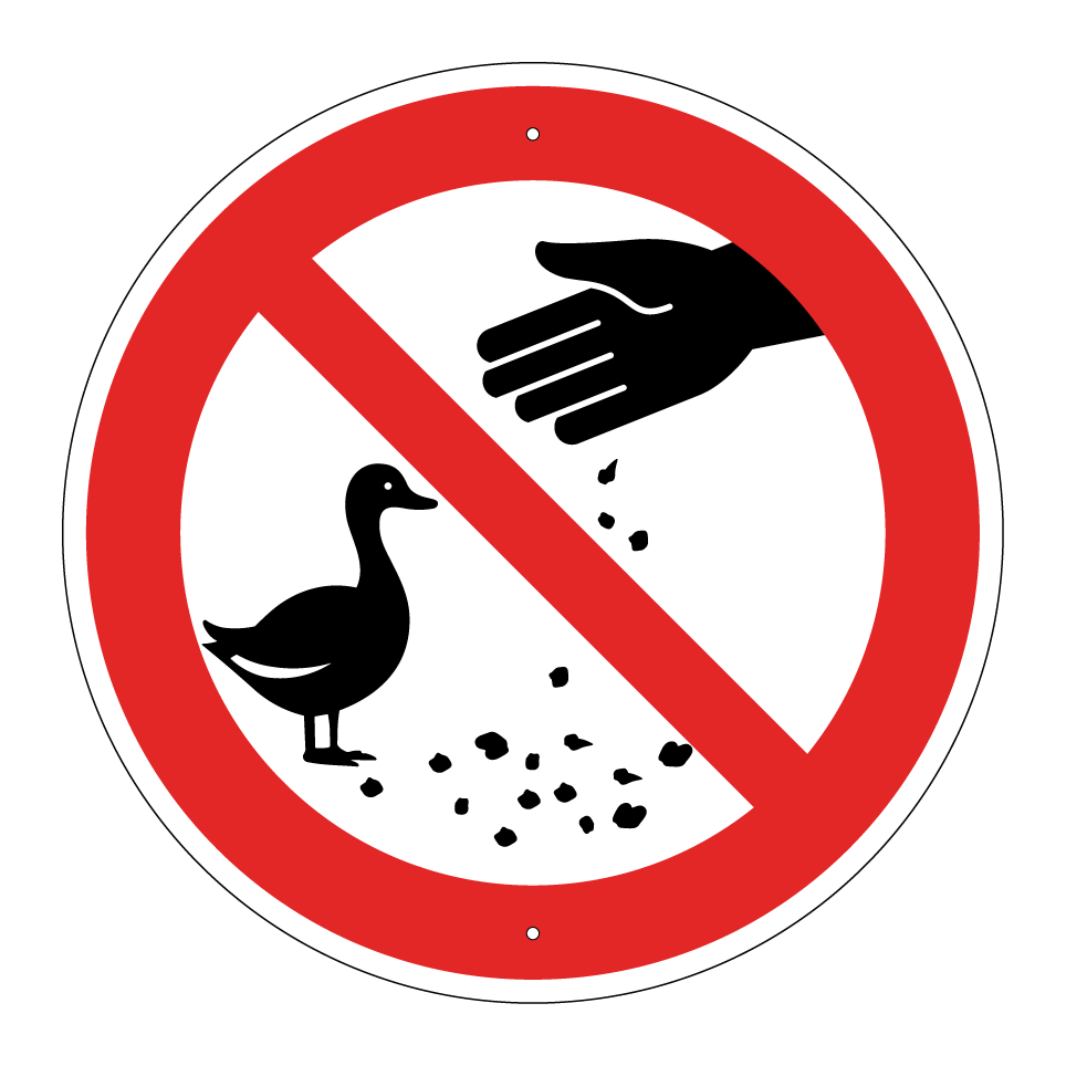 Nourrir les canards interdit