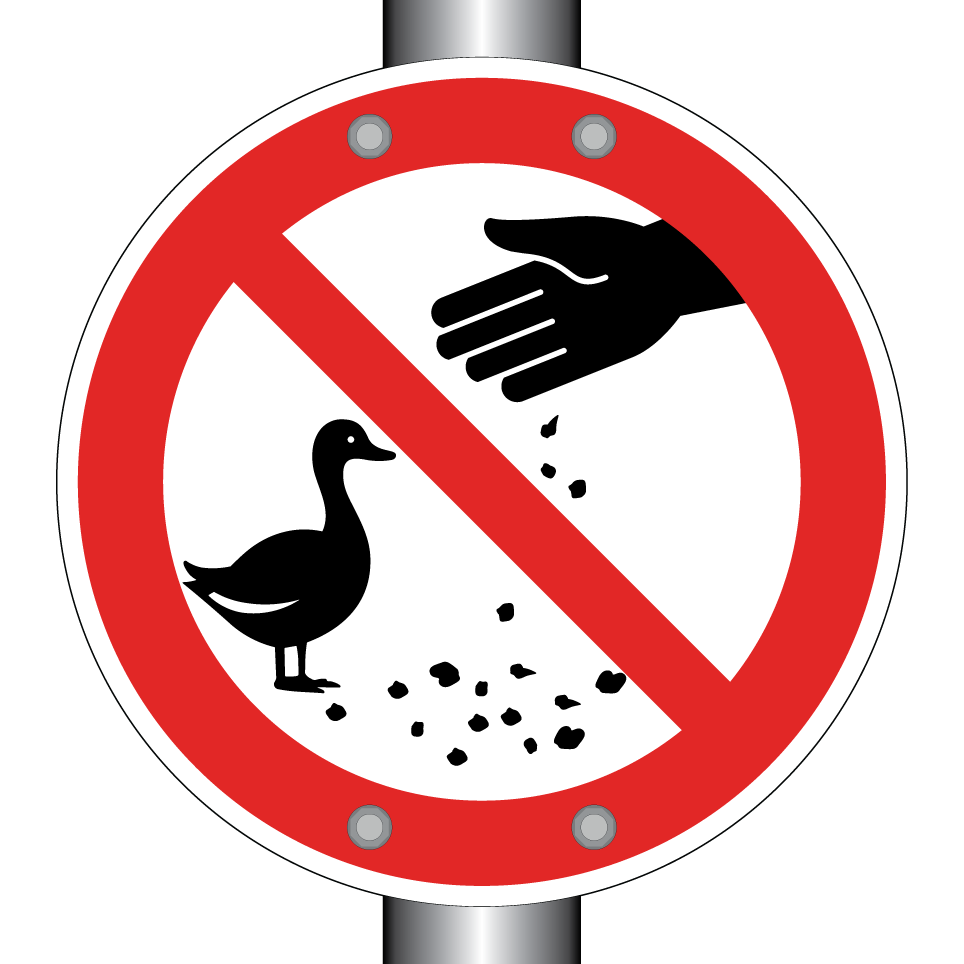 Nourrir les canards interdit
