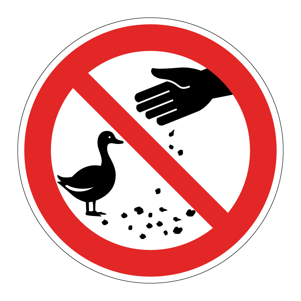 Nourrir les canards interdit
