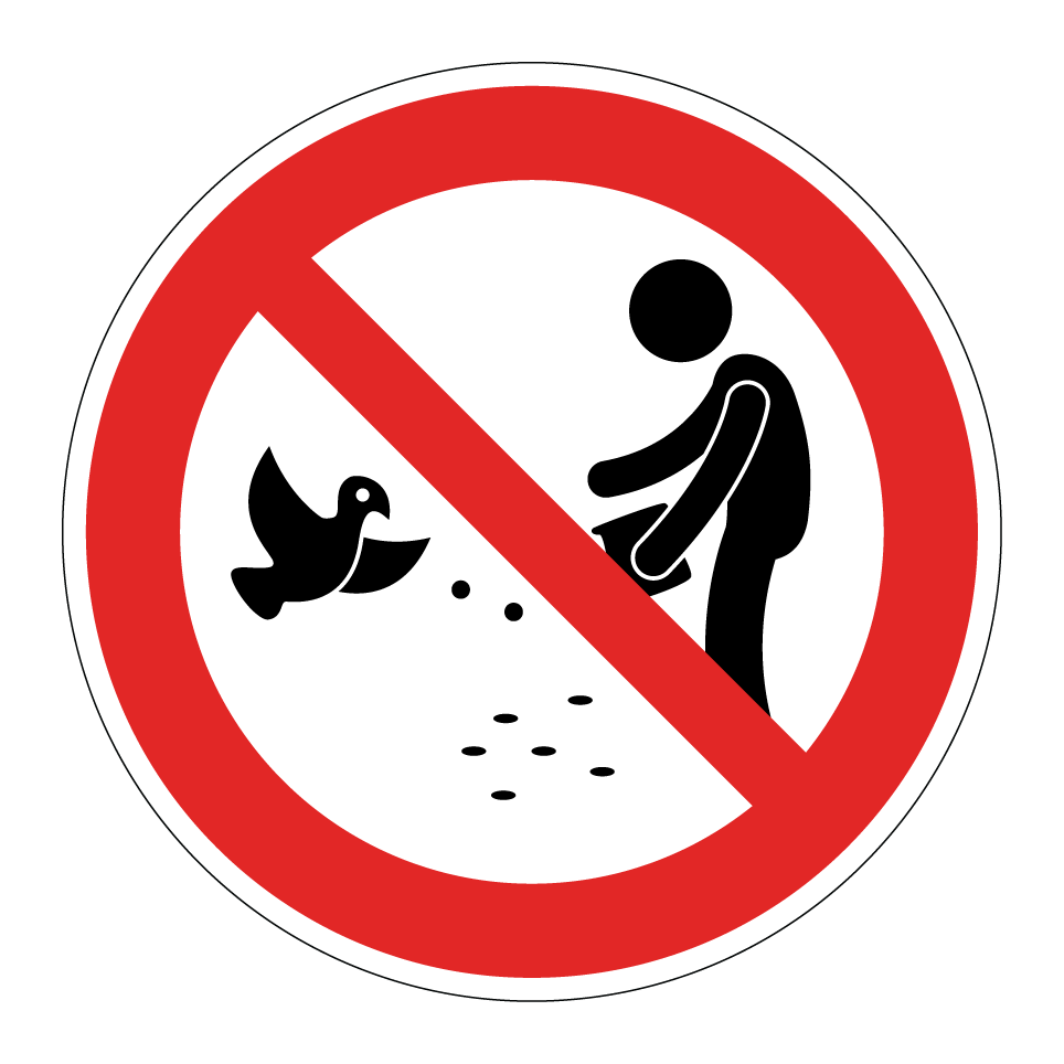 Vögel nicht füttern