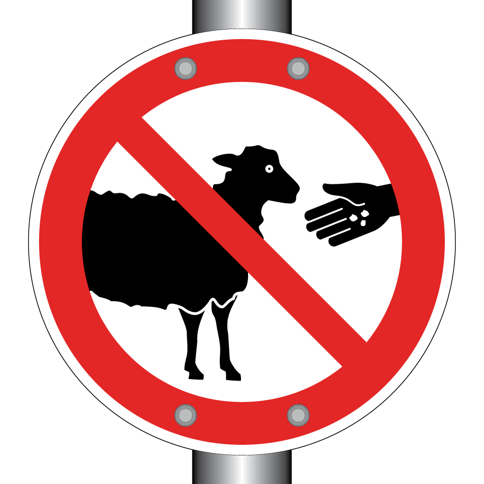 Ne pas nourrir les moutons