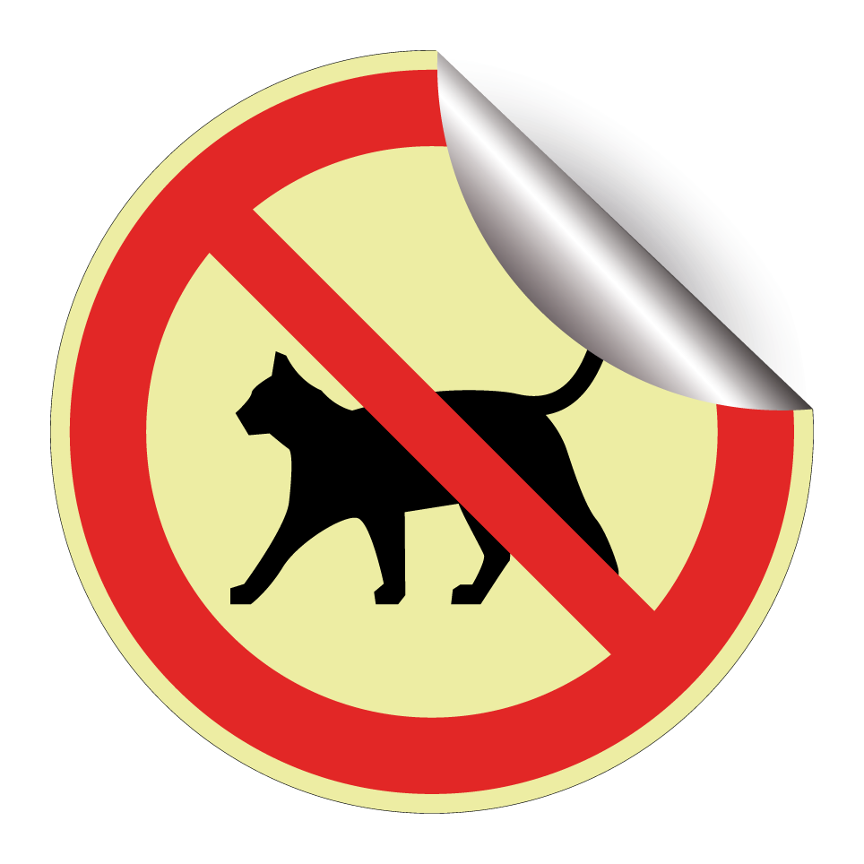 Keine Katzen
