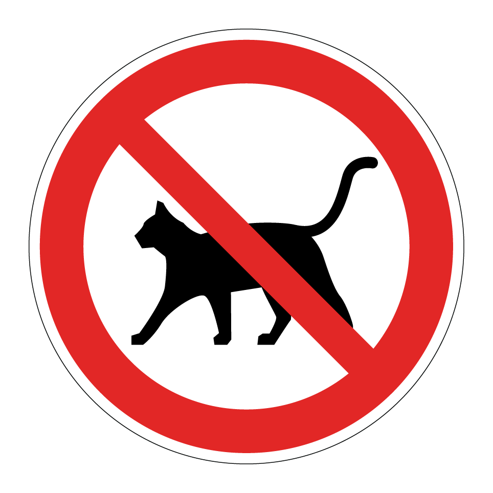 Keine Katzen