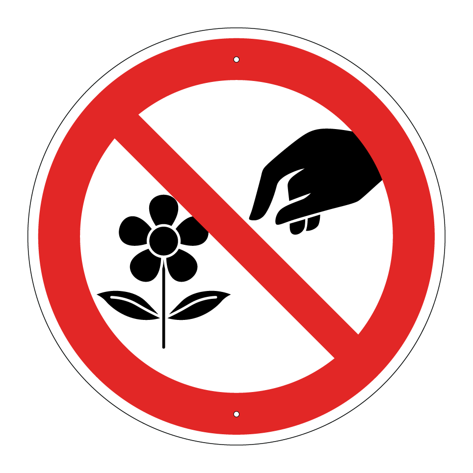 Ne pas cueillir de fleurs