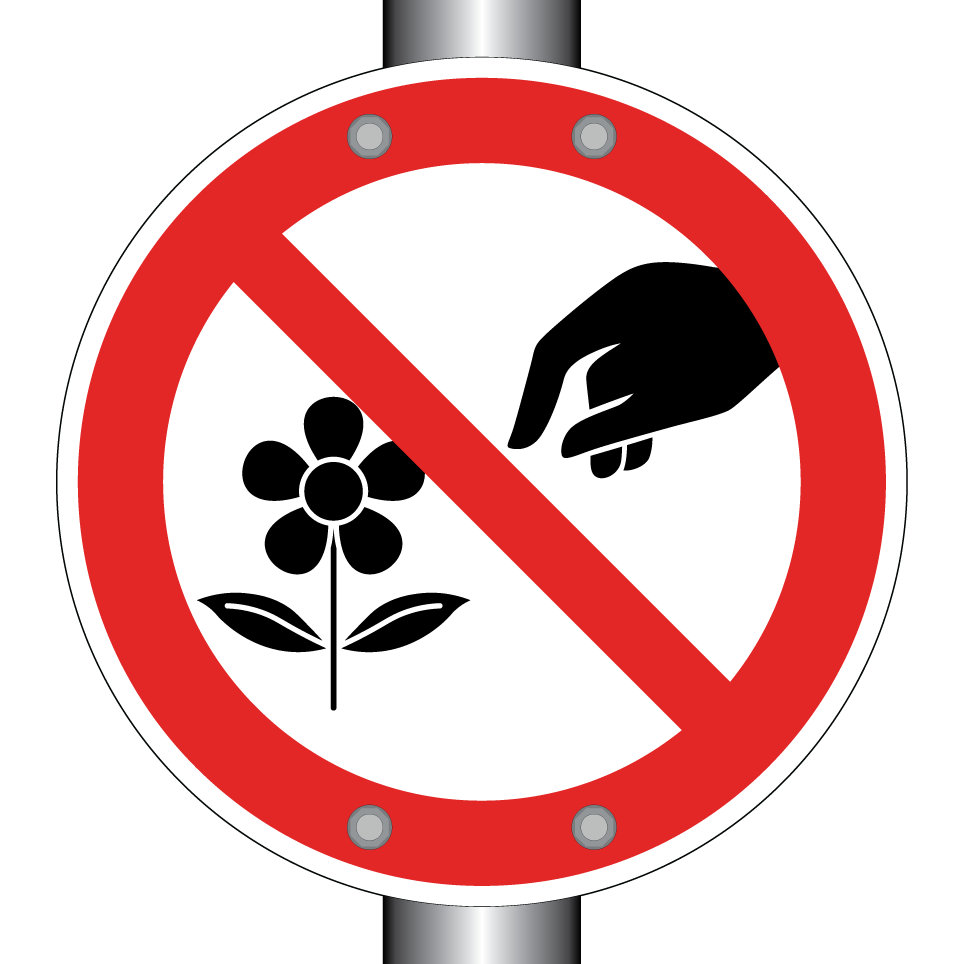 Ne pas cueillir de fleurs