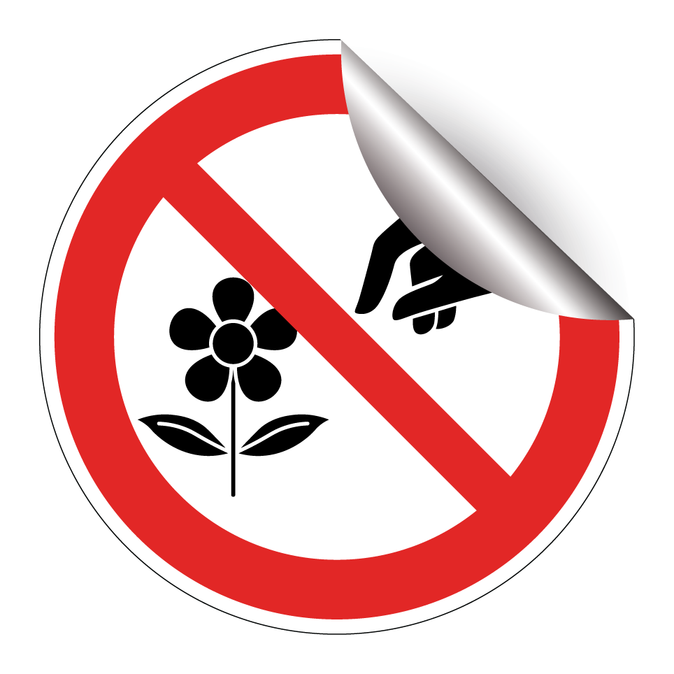 Ne pas cueillir de fleurs