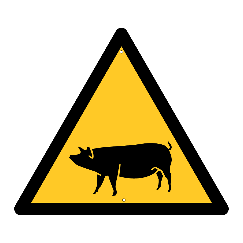 Warnschwein