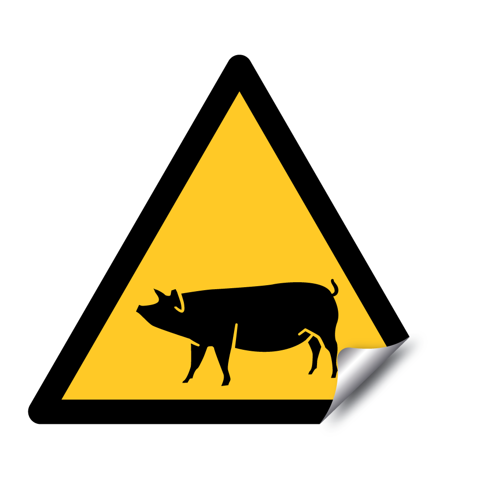 Warnschwein
