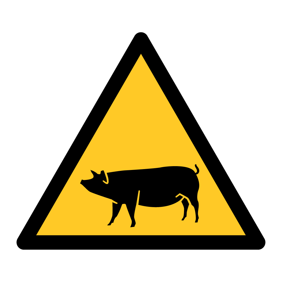 Warnschwein