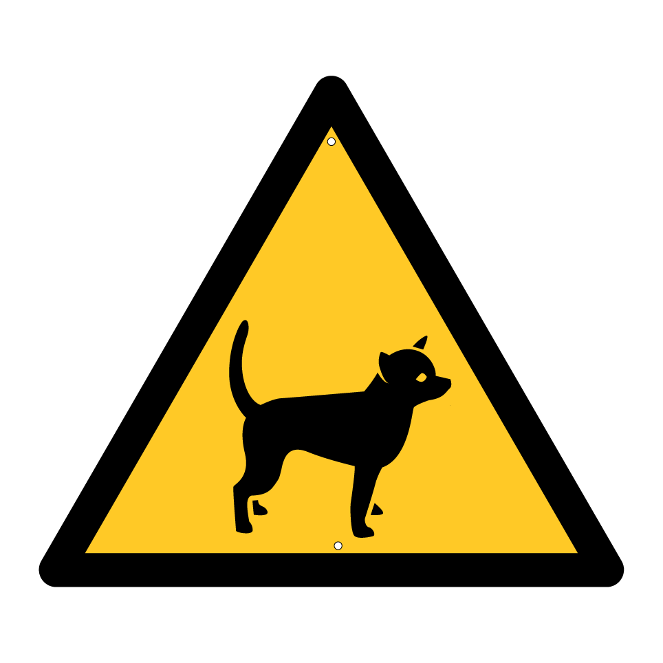 Warnung Chihuahua