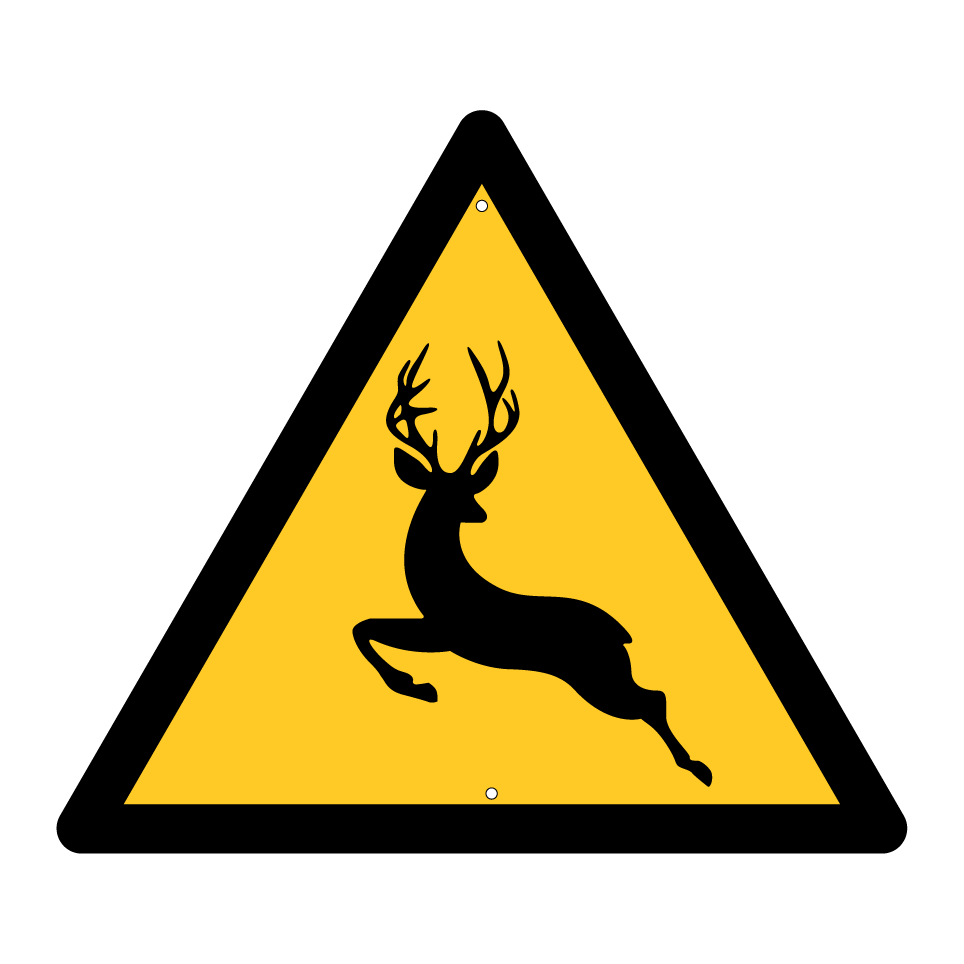Cerf avertissement