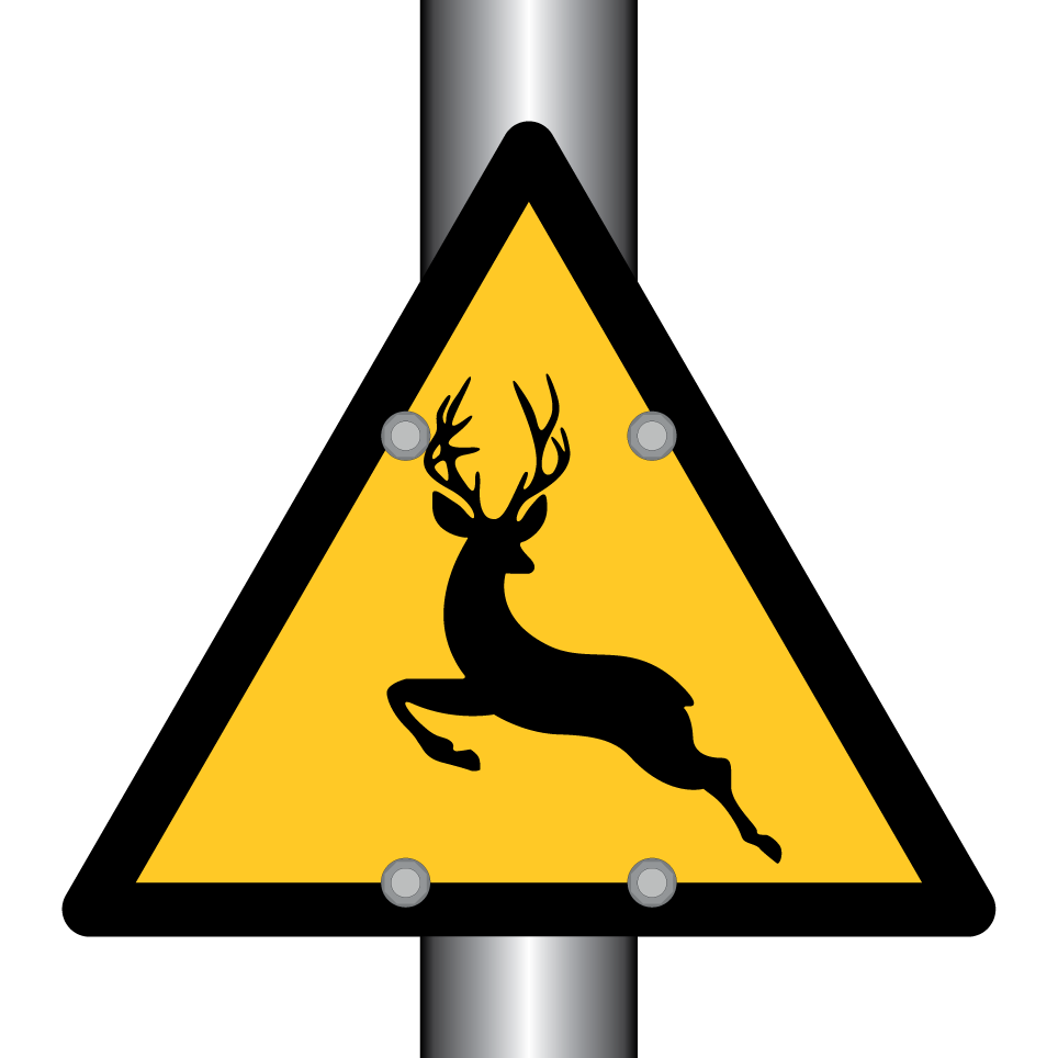 Cerf avertissement
