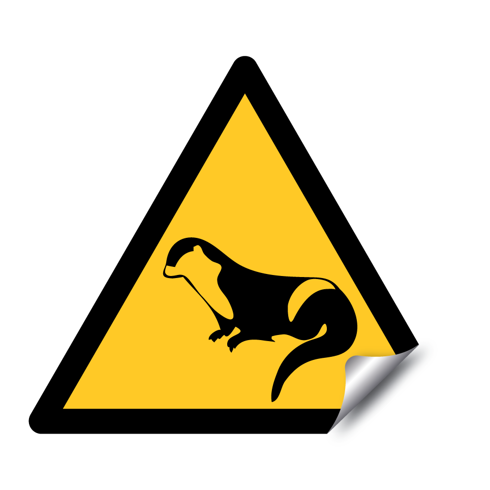 Otterüberquerung
