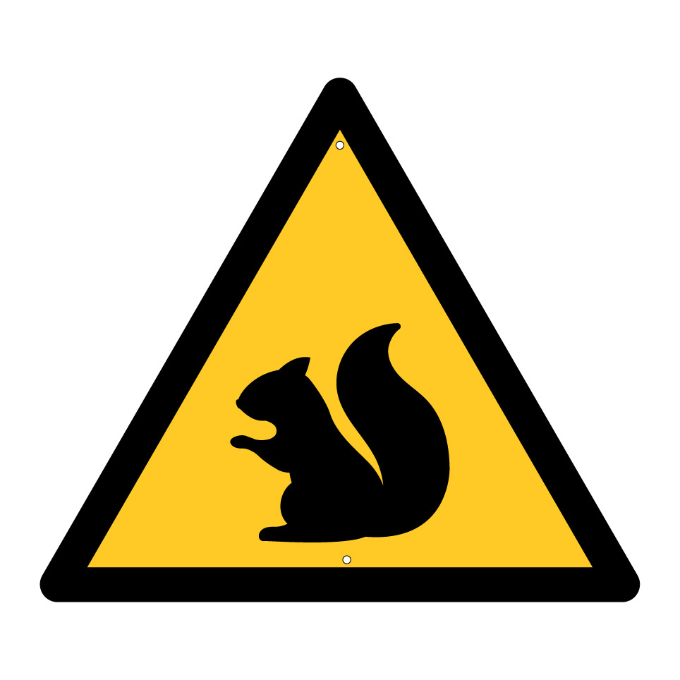 Warnhörnchen