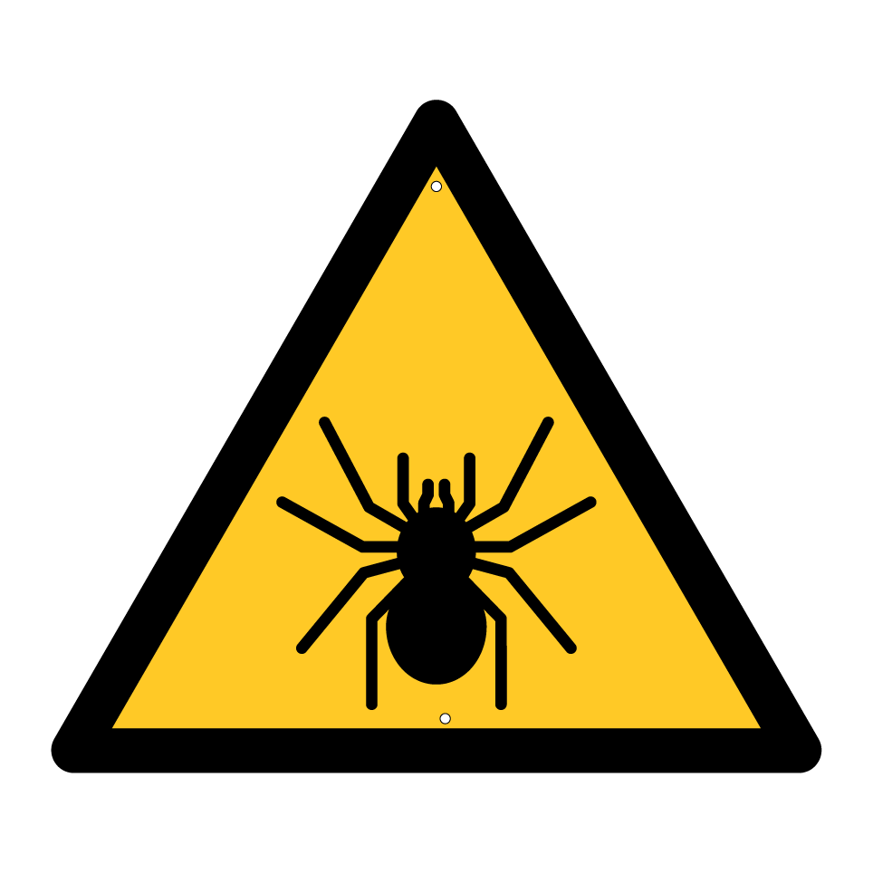 Araignée d'avertissement