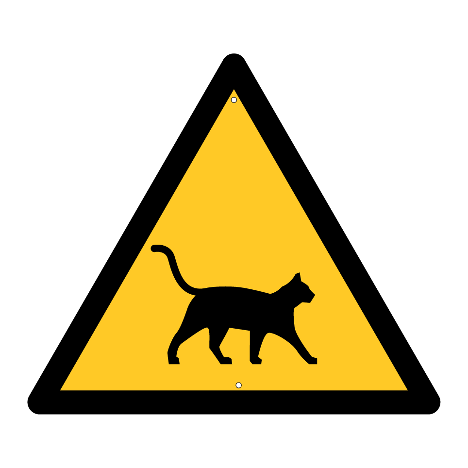 Attention chat traversant